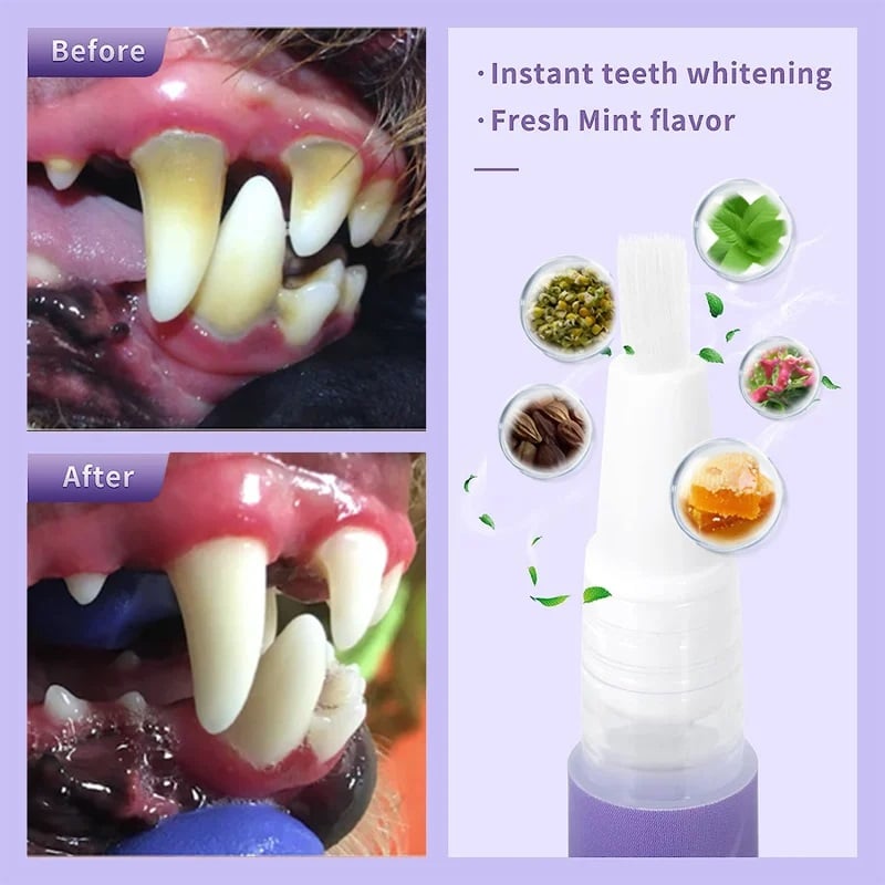 šHot Sale 49% OFFš¾šPet Oral Repair Gelš¶āØ