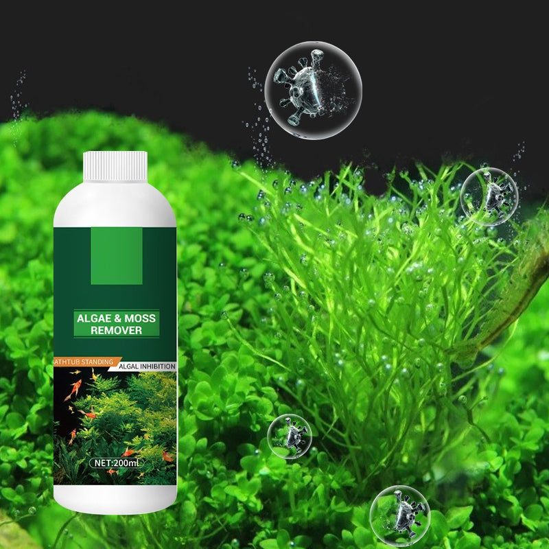 🎉Buy More Save More💥 Algae & Moss Remover for Fish Tank - Safe Water Purification