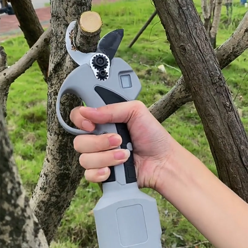 🔥2025 HOT SALE🔥 Garden Electric Pruning Shears With Battery & Charger