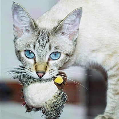 🎁Gift For Pets - 49% OFF🐱Upgraded Chirping Bird Cat Toy🐦