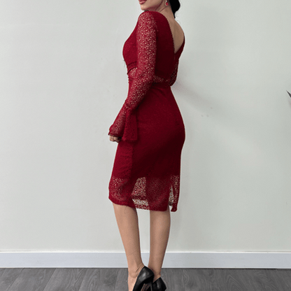 Women's Long Sleeve Lace Pencil Dress