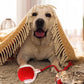 Smart Automatic Rolling Pet Ball